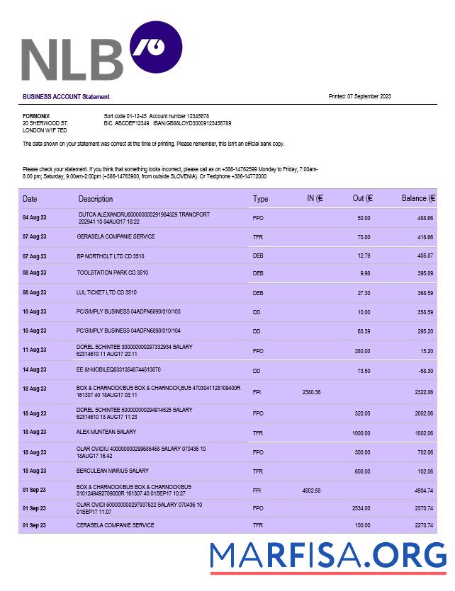 Blank NLB Bank firm account statement Word and PDF template